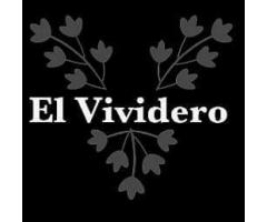 El Vividero - Bar Vegano